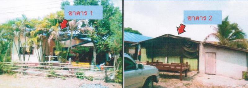 บ้านเดี่ยวหลุดจำนอง ธ.ธนาคารอาคารสงเคราะห์ กาฬสินธุ์ สมเด็จ ศรีสมเด็จ