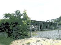 บ้านเดี่ยวหลุดจำนอง ธ.ธนาคารกสิกรไทย กาฬสินธุ์ ฆ้องชัย โคกสะอาด